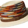 Tasmin Panama Flat Brim Fedora By Bailey -Fashion hats 22784BH NATURALMULTI 66103.1667685274.1280.1280