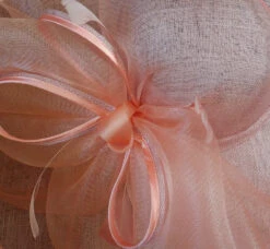 Finish Line Favorite Kentucky Derby Hat 16 Finish Line Favorite Kentucky Derby Hat -Fashion hats 6503 Dusty Pink Peach 81215.1682889976.1280.1280