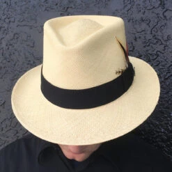 Taylor Natural Panama Teardrop Crown Fedora