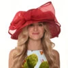 Tiana-OVLPSSL Derby Hat By Christine Moore - Berkeley Hat Company -Fashion hats Tiana OVLPSSLjpeg 44090.1649630545.1280.1280
