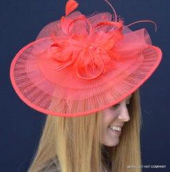 Happy-Go-Lucky Derby Fascinator 23 Happy-Go-Lucky Derby Fascinator -Fashion hats happy go lucky fascinator red 94286.1670545023.1280.1280