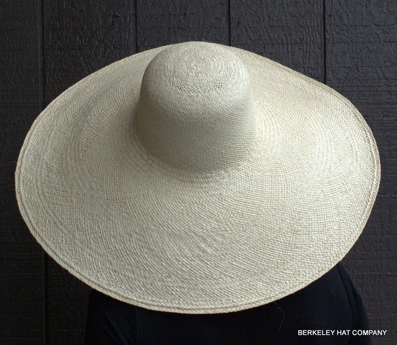 Wide Brim Panama Hat 4 Wide Brim Panama Hat - Image 2