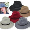 Wide Brim Women's Fedora In Wool Felt -Fashion hats women s wide brim fedora 16 82311.1685492465.1280.1280